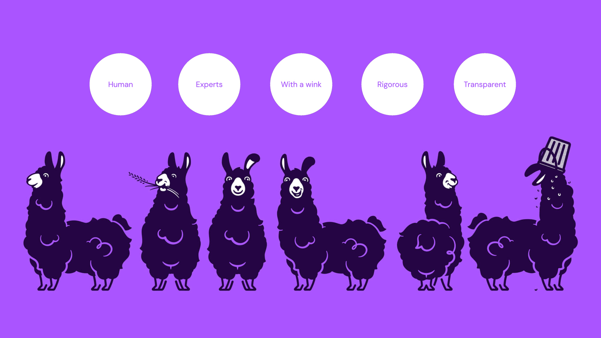 A range of different llama expressions from 'with a wink' to 'rigorous'.