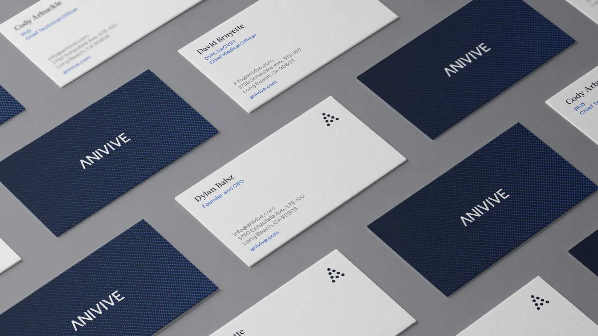 Business cards featuring the brand.